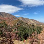 Mount Nebo Scenic Loop