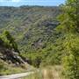Farmington Canyon