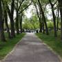 Liberty Park