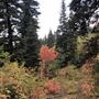 Big Mountain Ranch