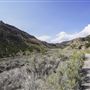 Spring Canyon Road