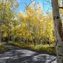 Sunrise Campground
