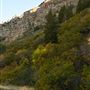 Logan Canyon