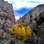 Sheep Creek Geological Loop