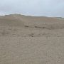Little Sahara Sand Dunes