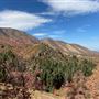 Mount Nebo Scenic Loop