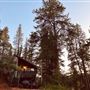 The Bowers Oakley Cabin