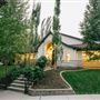 Temple Terrace - Plum & Pine