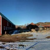 Diamond Bar X Ranch