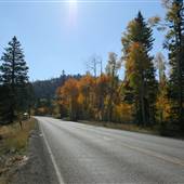 Highway 14  - Autumn