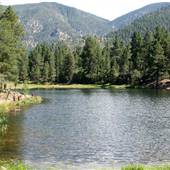 Pine Valley