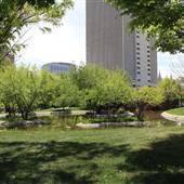 City Creek Park