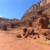 The Boneyard