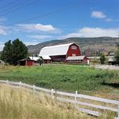 London Spring Ranch