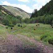 Center Canyon