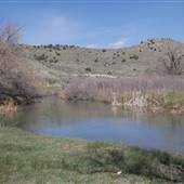 Currant Creek