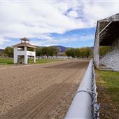Beaver Horse Track