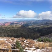 Cedar Mountain