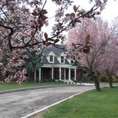 Triple Crown Ranch