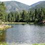 Pine Valley