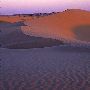 Little Sahara Sand Dunes