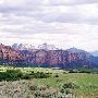 Zion National Park - Road