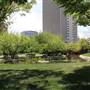 City Creek Park