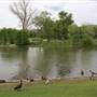 Liberty Park
