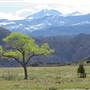 La Sal Loop Road