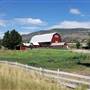 London Spring Ranch