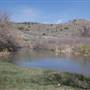 Currant Creek