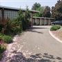 Mid-Century Haycock Home