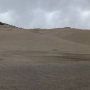 Little Sahara Sand Dunes