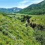 Thousand Peaks Ranch - Summer