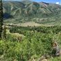 Thousand Peaks Ranch - Summer