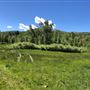 Thousand Peaks Ranch - Summer