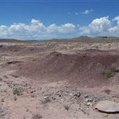 Red Seeps - Emery County