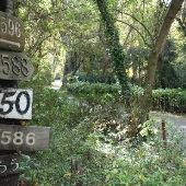 Walker Lane