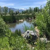 Big Cottonwood Regional Park (Natural Area)