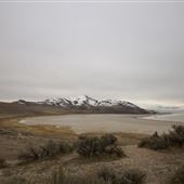 Antelope Island State Park- Winter