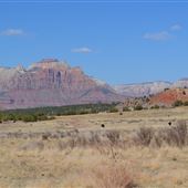 Gooseberry Mesa Road
