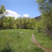 Big Springs Trail