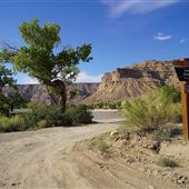 The Green River Daily