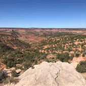 Hog Canyon