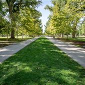 Liberty Park
