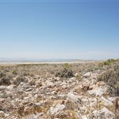 Antelope Island State Park - Summer