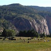 Spilsbury Ranch