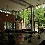 Westminster University
