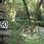 Walker Lane