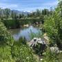 Big Cottonwood Regional Park (Natural Area)